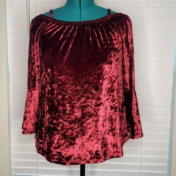 Oxblood Crushed Velvet Peasant Fairy Renaissance Ren Fest Boho Goth Royal Maiden - Picture 5 of 8